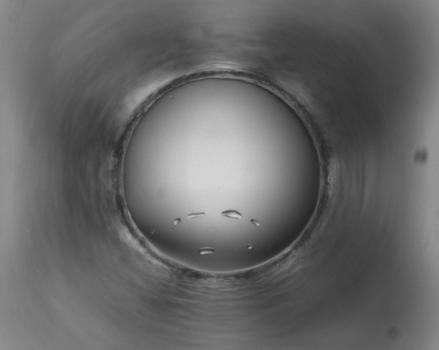 X0000113211404200909241412