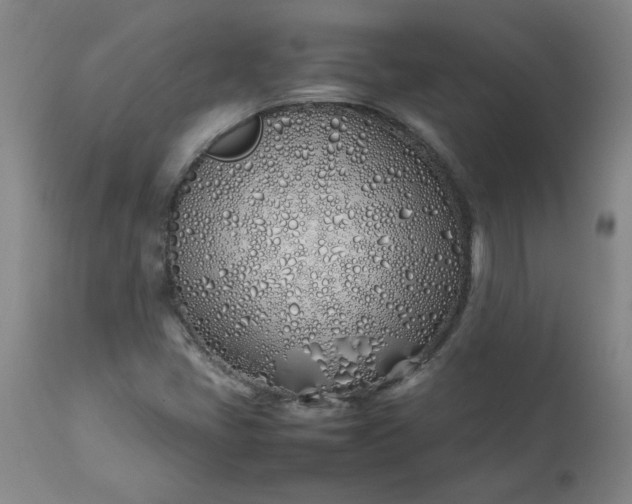 X0000113211405200909241412