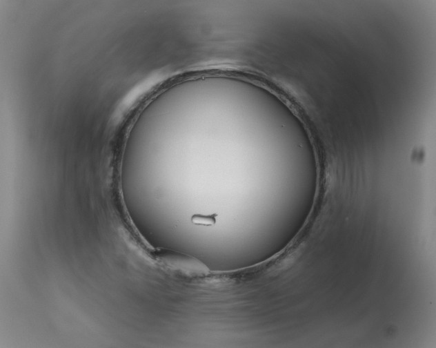 X0000113211406200909241412