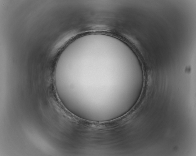 X0000113211407200909241412