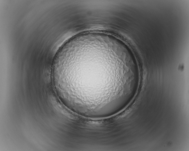 X0000113211409200909241412