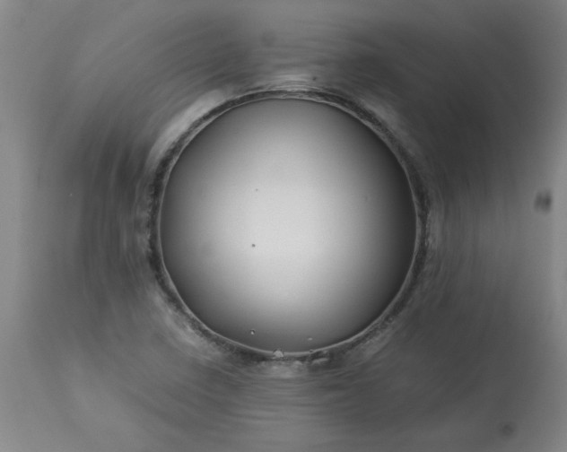 X0000113211410200909241412