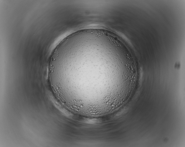 X0000113211413200909241412