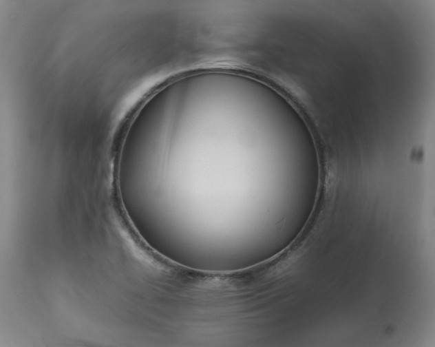 X0000113211414200909241412