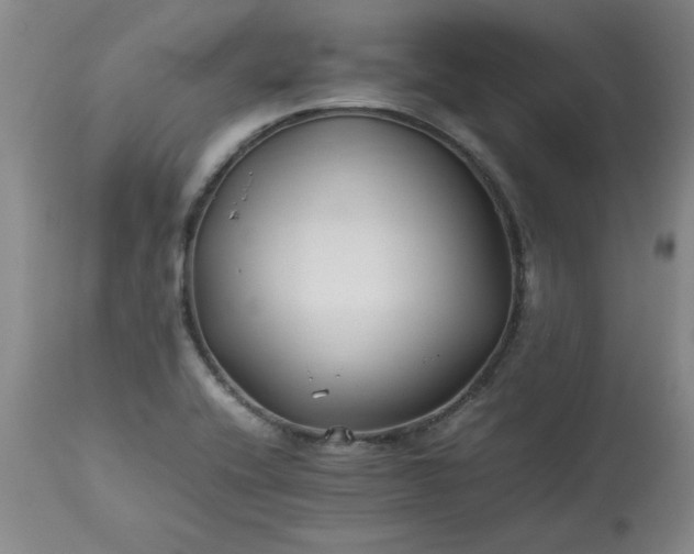 X0000113211416200909241412