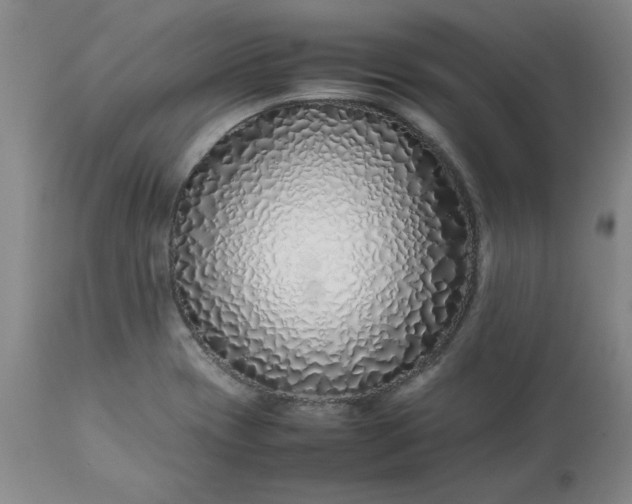 X0000113211417200909241412