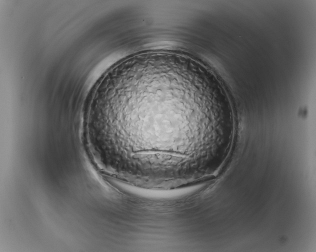 X0000113211418200909241412