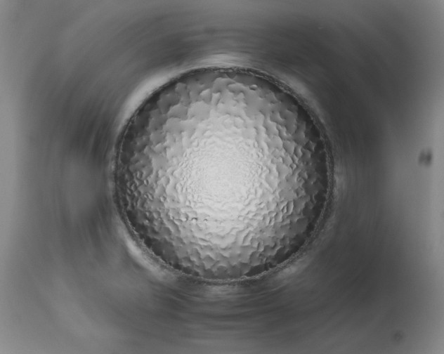 X0000113211421200909241412