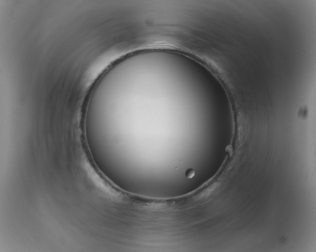 X0000113211422200909241412