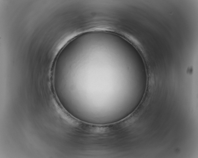 X0000113211423200909241412