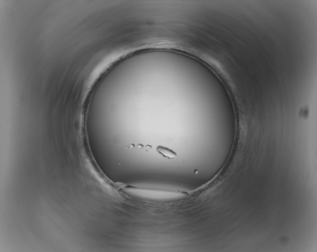 X0000113211424200909241412