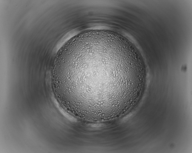 X0000113211425200909241412