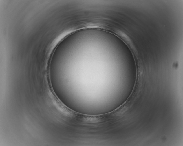 X0000113211427200909241412