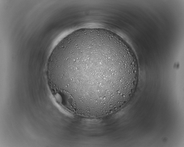 X0000113211429200909241412