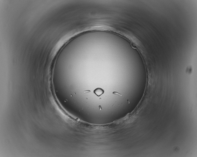 X0000113211430200909241412