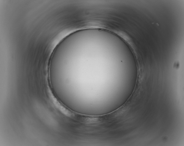 X0000113211431200909241412