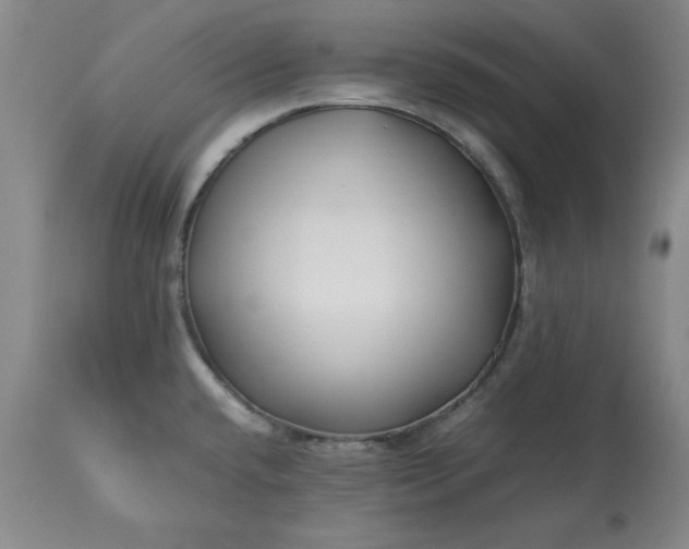 X0000113211432200909241412