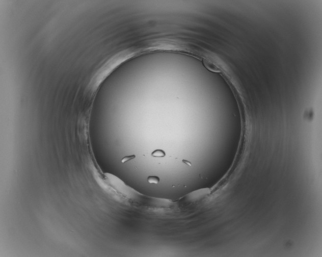 X0000113211433200909241412