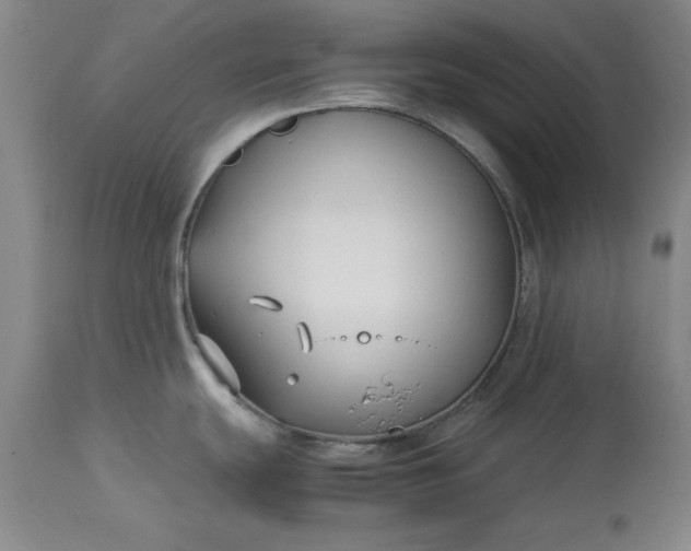 X0000113211439200909241412