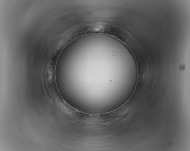 X0000113211442200909241412