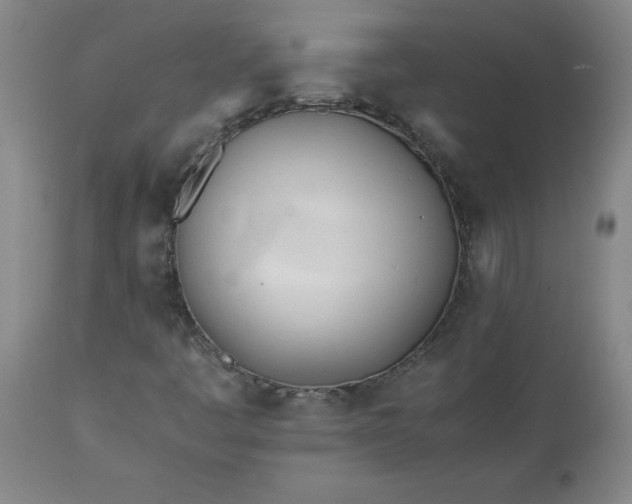 X0000113211445200909241412