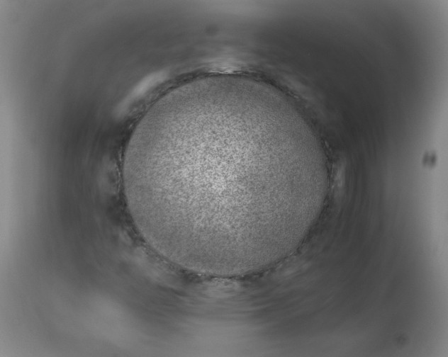 X0000113211446200909241412