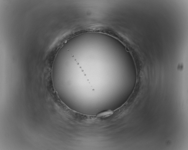 X0000113211447200909241412