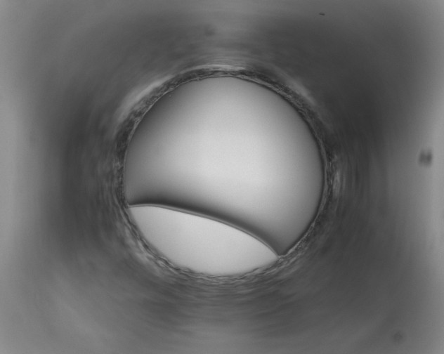 X0000113211448200909241412