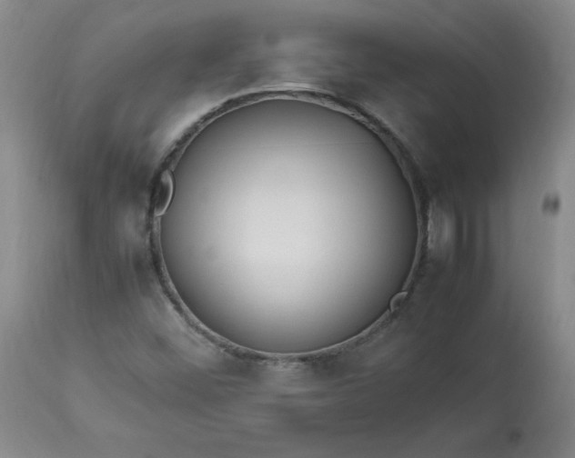 X0000113211452200909241411