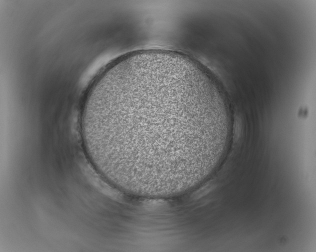 X0000113211454200909241411