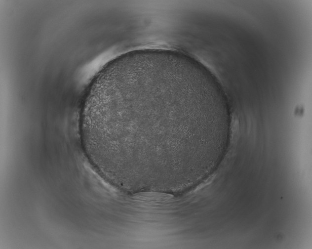 X0000113211455200909241411