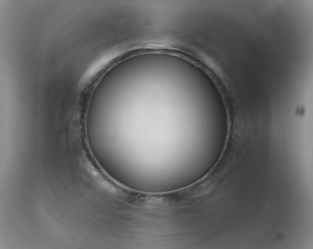 X0000113211456200909241411