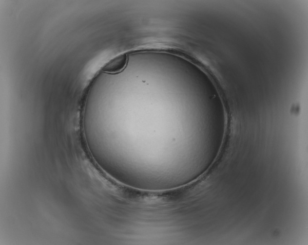 X0000113211459200909241411