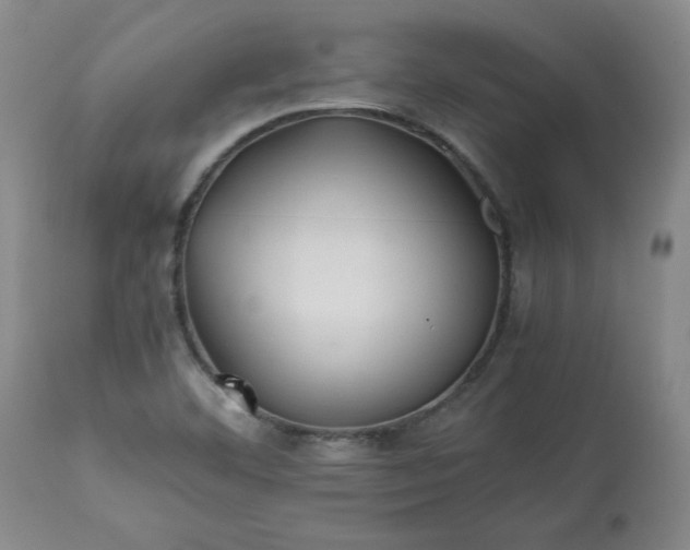 X0000113211460200909241411