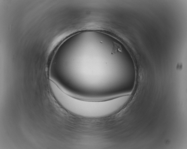 X0000113211461200909241411