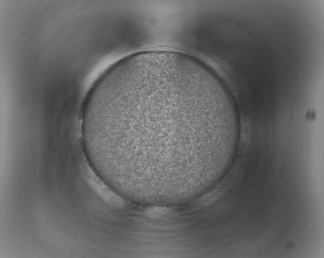 X0000113211462200909241411