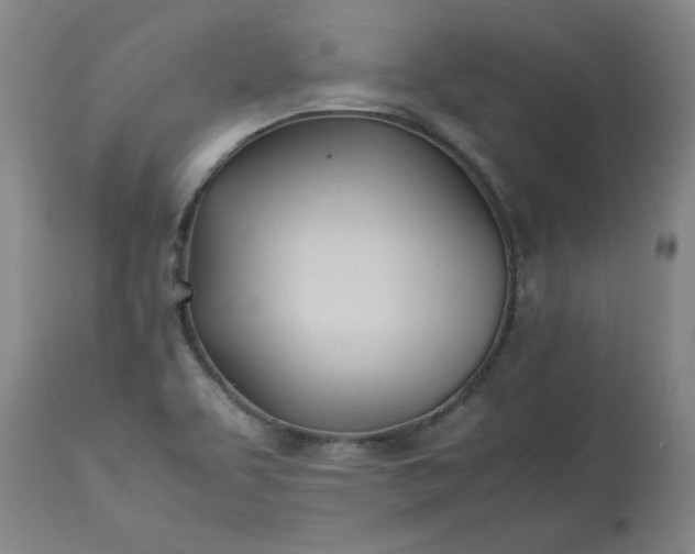 X0000113211463200909241411