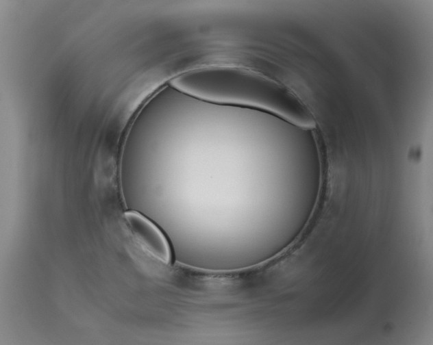 X0000113211465200909241411