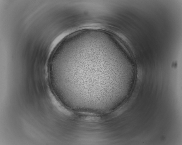 X0000113211466200909241411