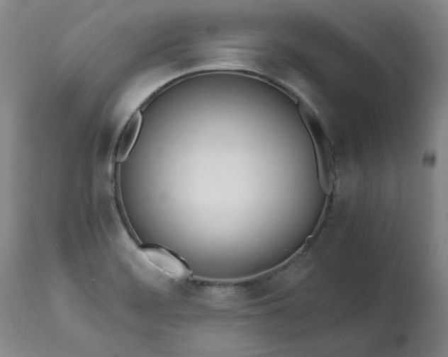 X0000113211468200909241411