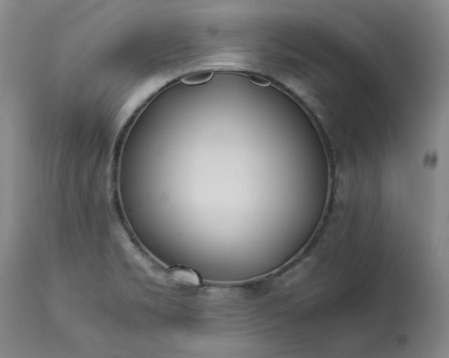 X0000113211469200909241411