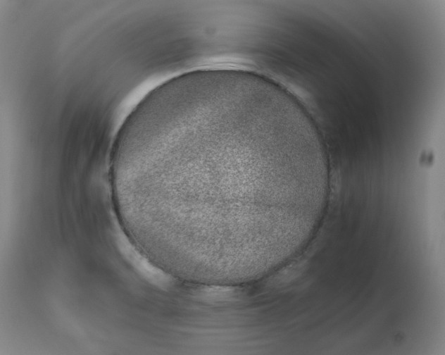 X0000113211470200909241411