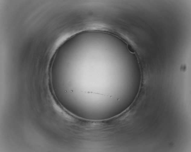 X0000113211471200909241411