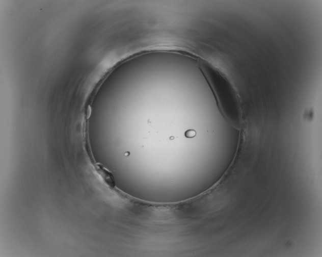 X0000113211472200909241411