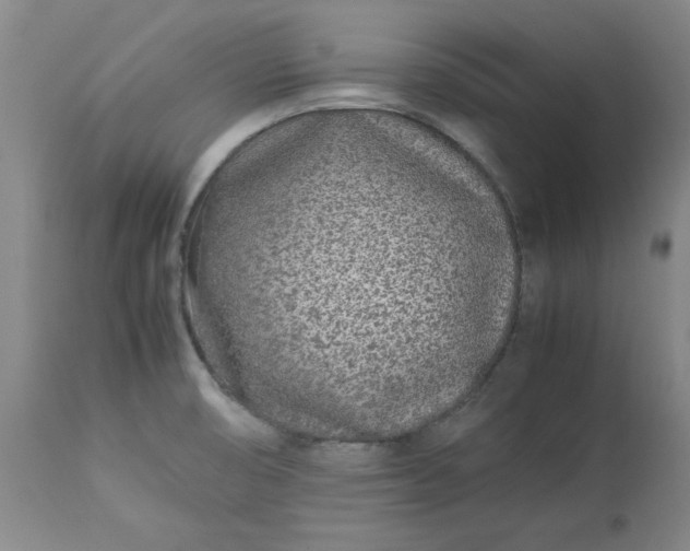 X0000113211474200909241411