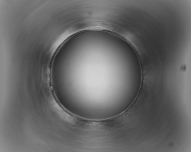 X0000113211476200909241411