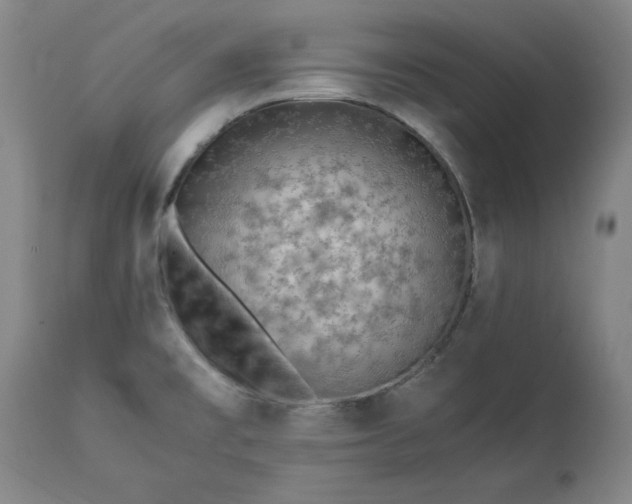 X0000113211477200909241411