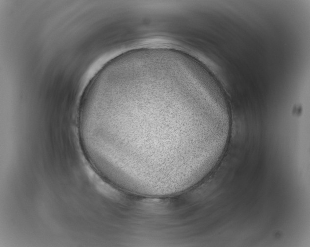 X0000113211478200909241411