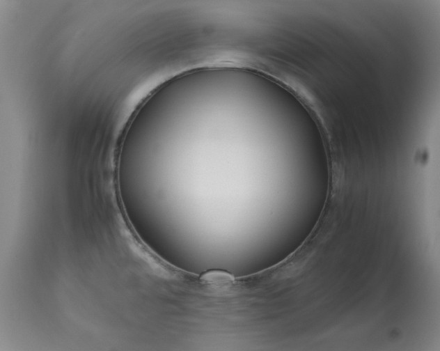 X0000113211480200909241411