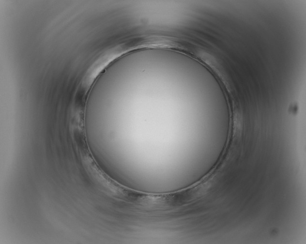 X0000113211481200909241411